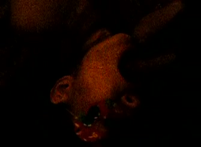 Video :Homemade dog sex with a kinky pet owner